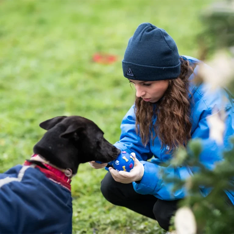 an image of one of the dog's at dog's aid animal shelter with one of the volunteers