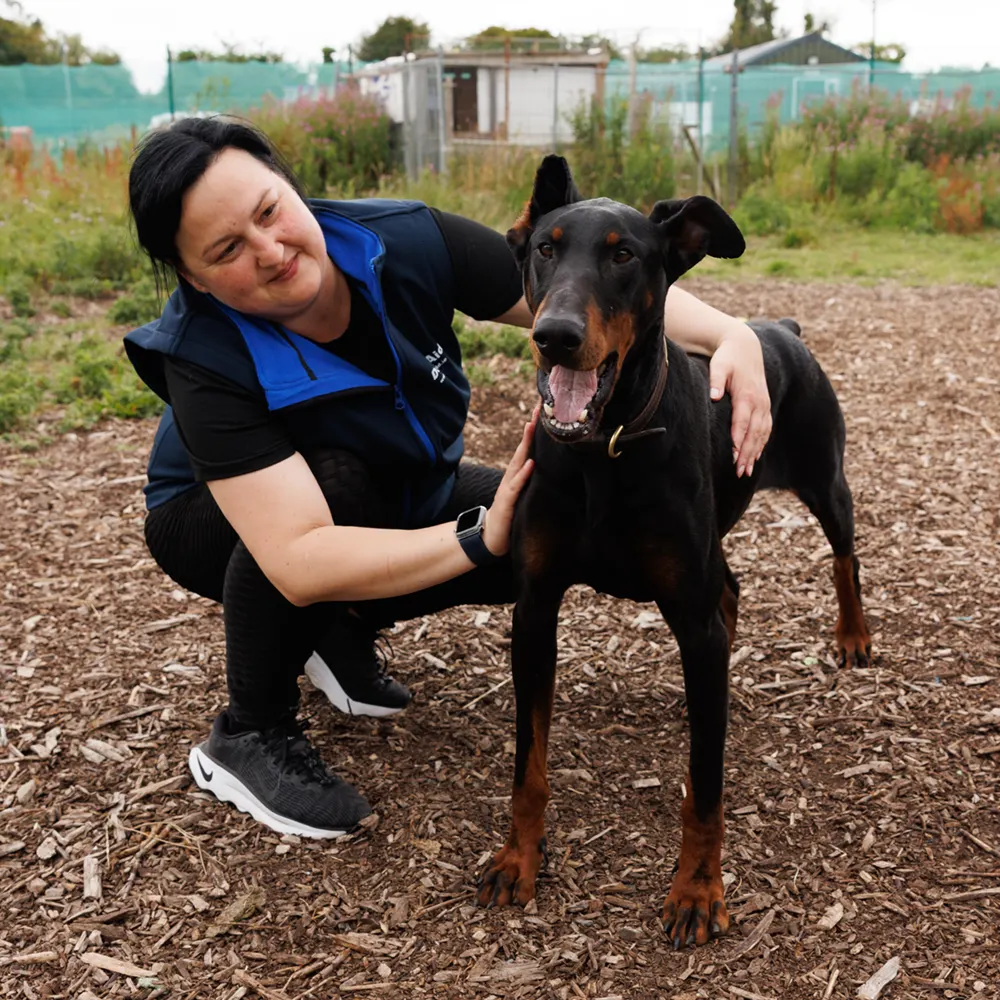an image of one of the dog's at dog's aid animal shelter with a volunteer