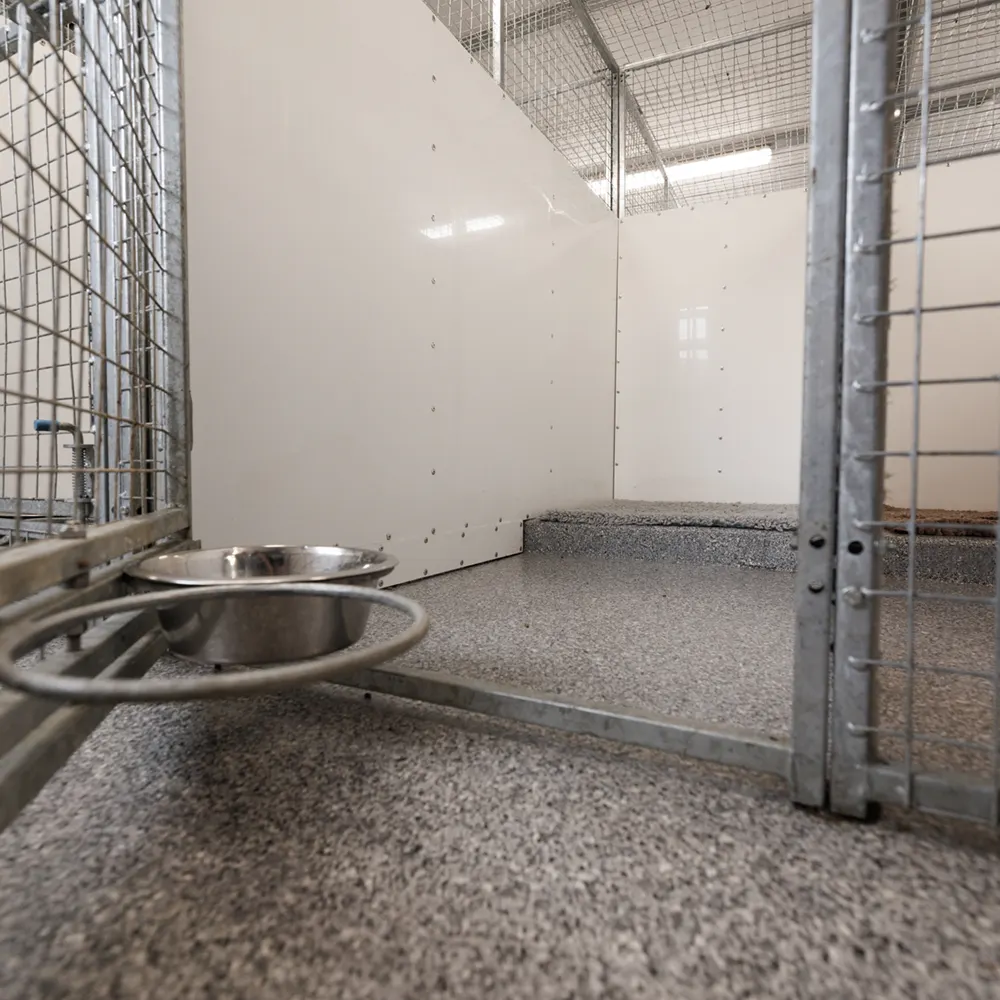 an image of one of the dog kennels at dogs' aid animal shelter